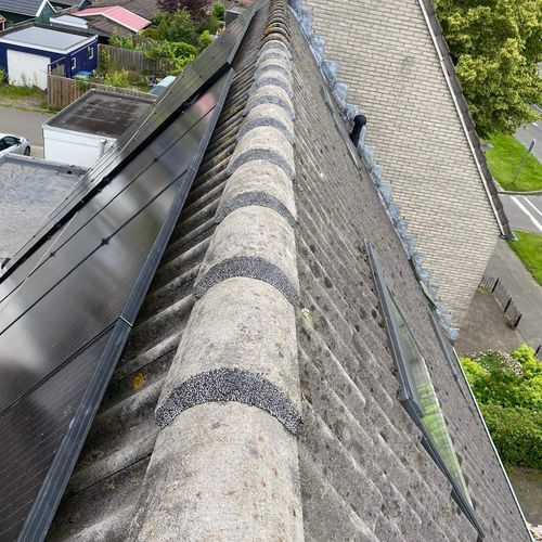 Nokvorsten Warmond hersteld Nokvorsten zijn opnieuw vastgezet